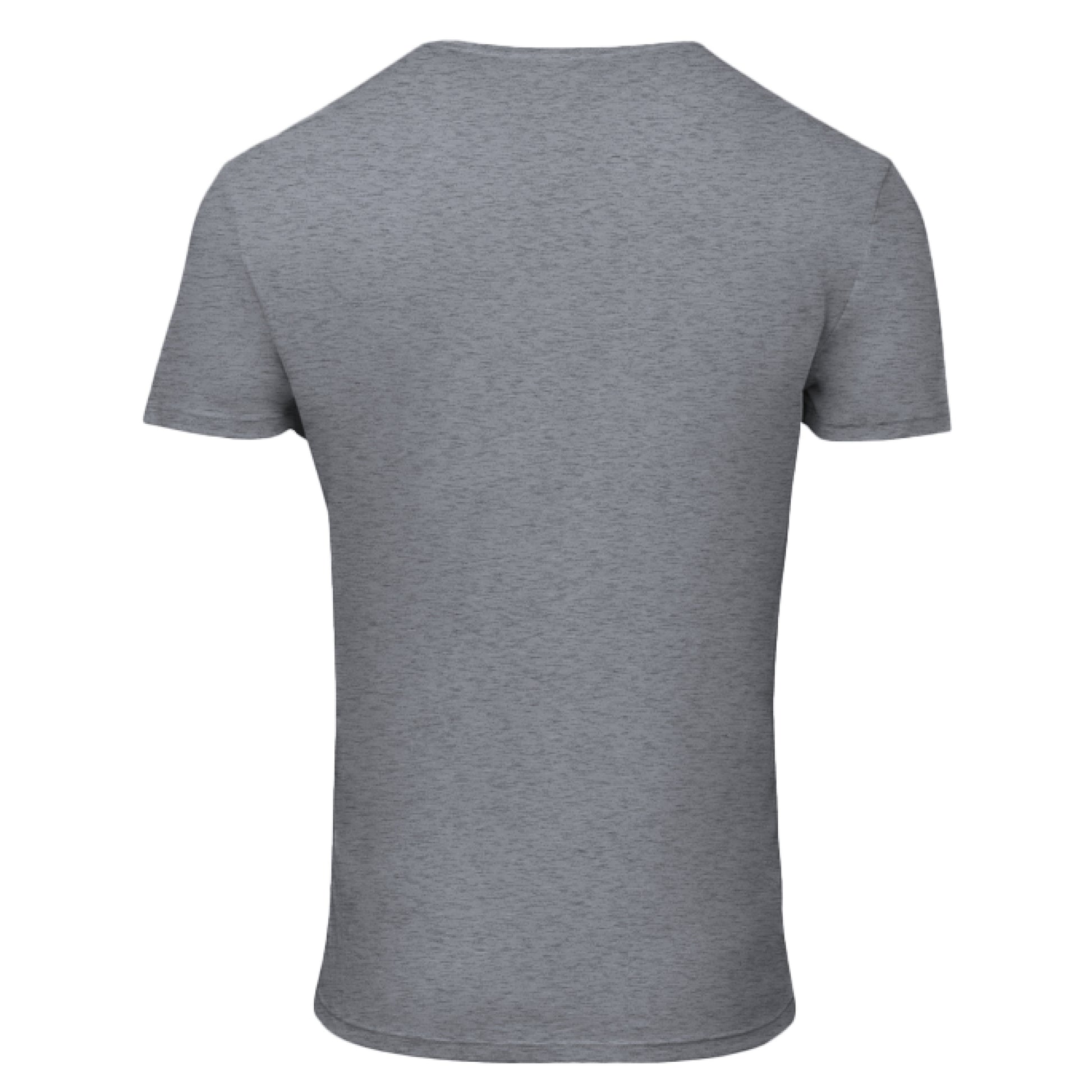 GREY TRIBLEND - BACK