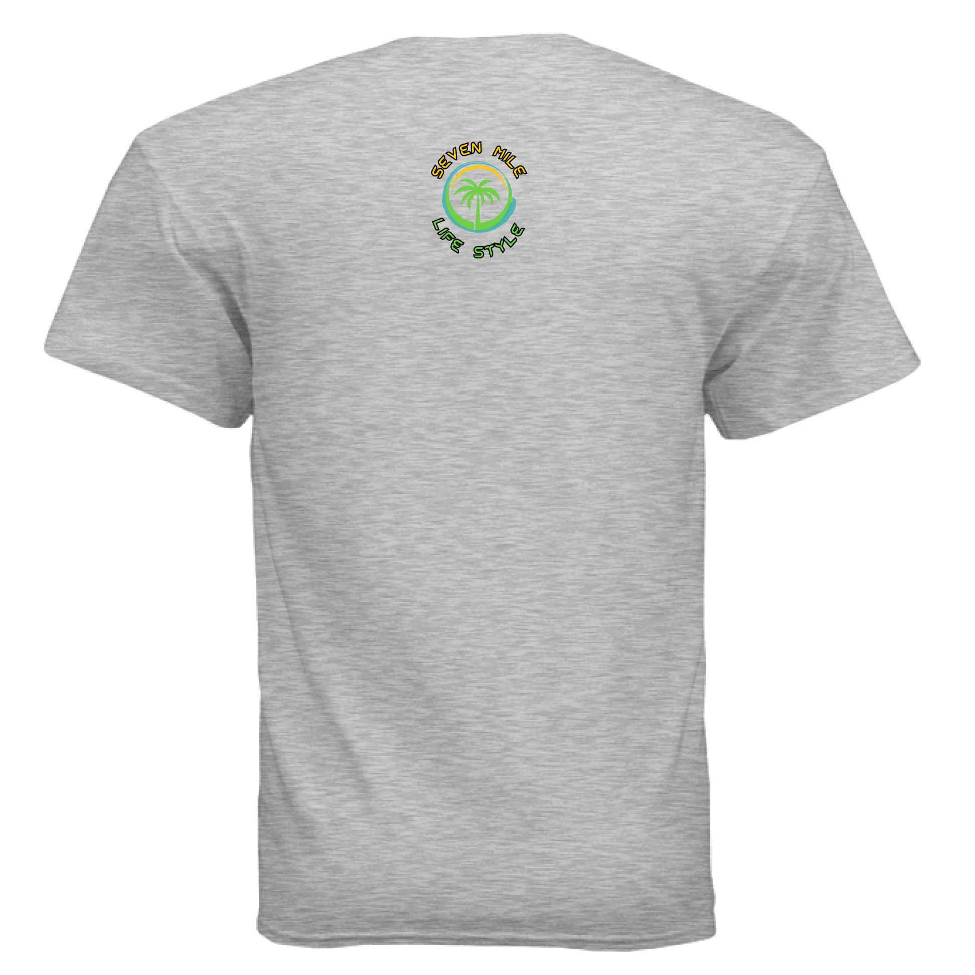 ASH - BACK